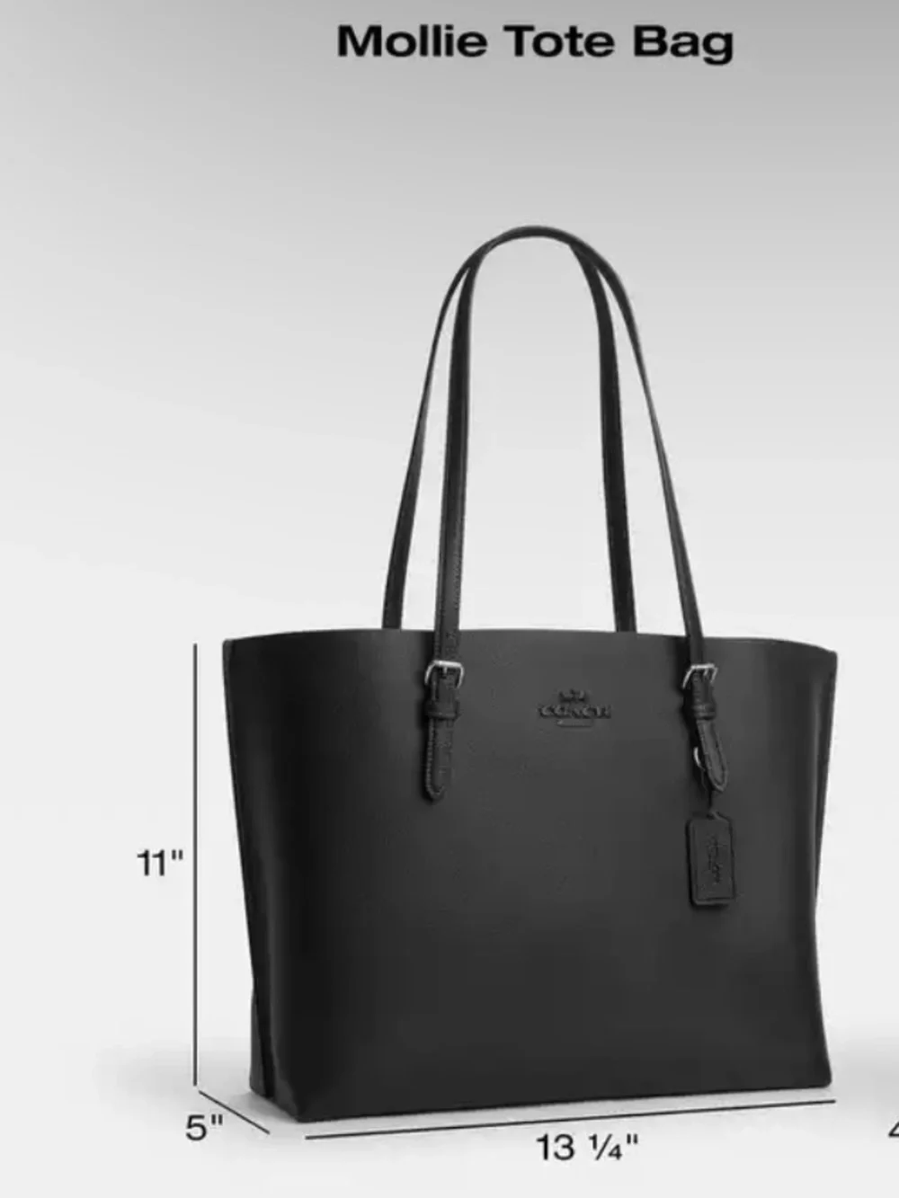 Coach Mollie Tote